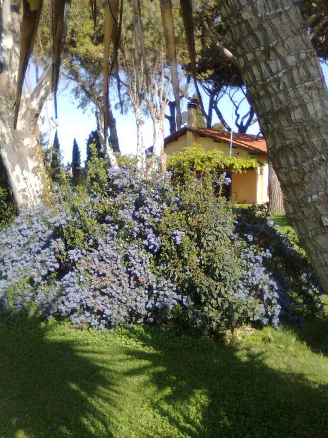 Casa Vacanze Vigna Di Valle Bracciano  Luaran gambar