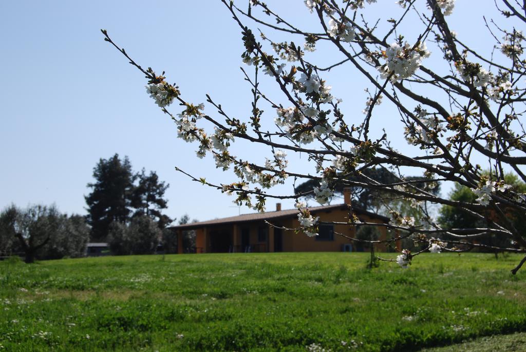 Casa Vacanze Vigna Di Valle Bracciano  Bilik gambar
