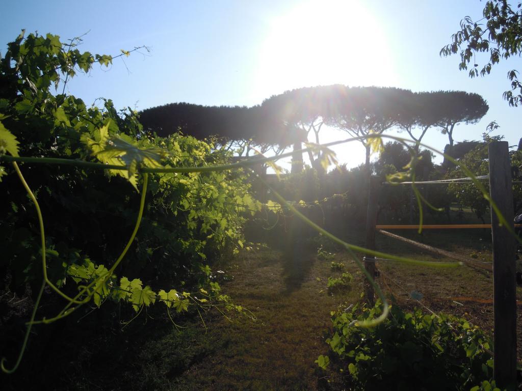 Casa Vacanze Vigna Di Valle Bracciano  Luaran gambar