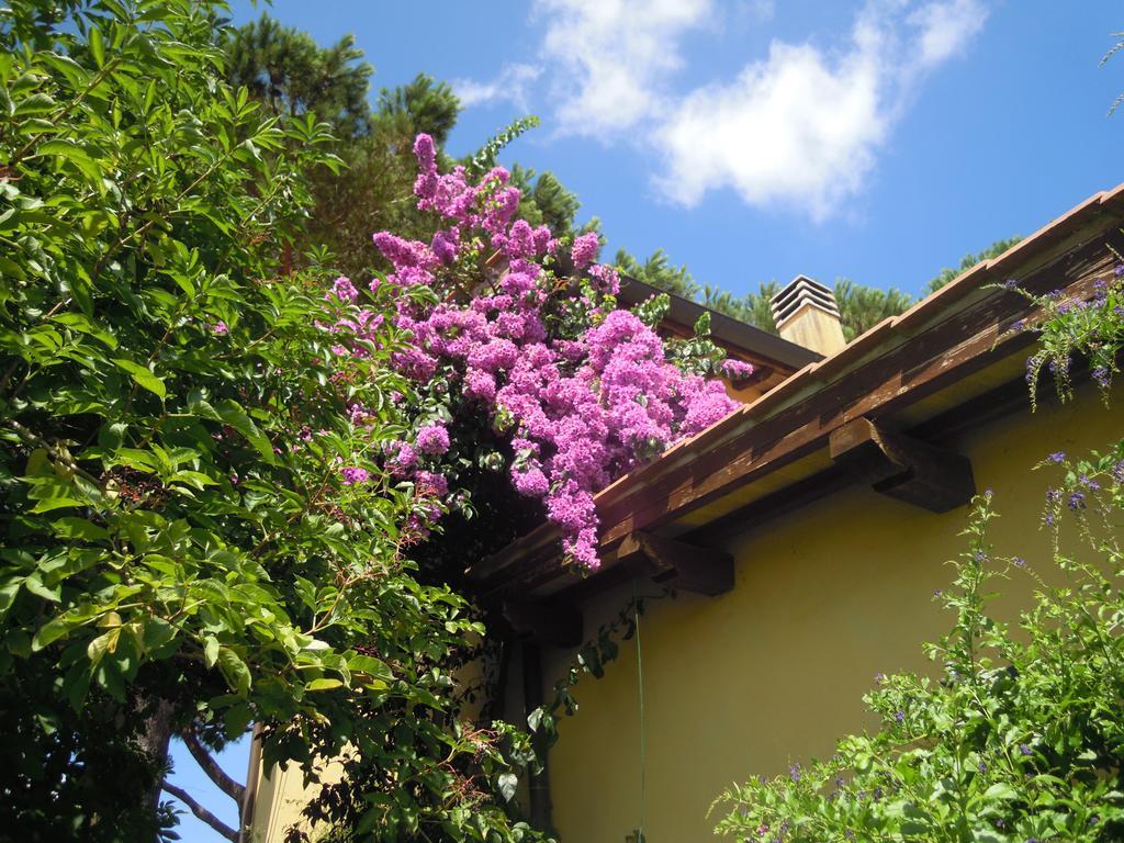Casa Vacanze Vigna Di Valle Bracciano  Bilik gambar