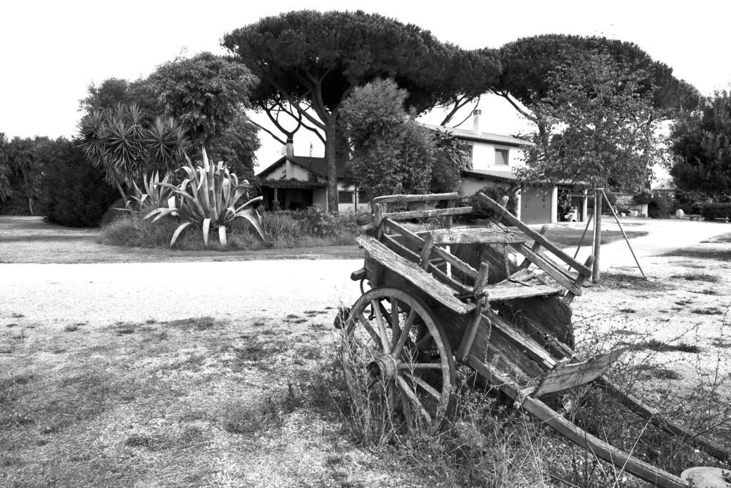 Casa Vacanze Vigna Di Valle Bracciano  Luaran gambar